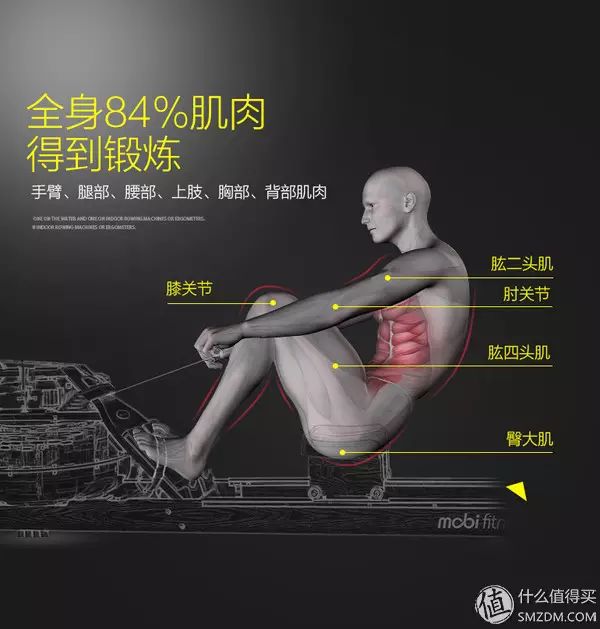 腰腹训练器怎么用_腰腹轮怎么用_可调节家用腰腹训练器