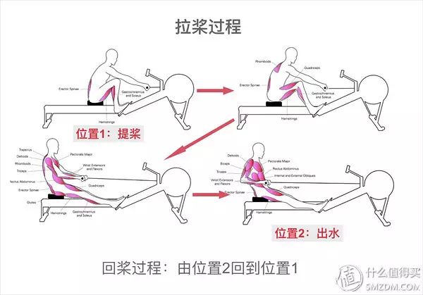 腰腹训练器怎么用_腰腹轮怎么用_可调节家用腰腹训练器