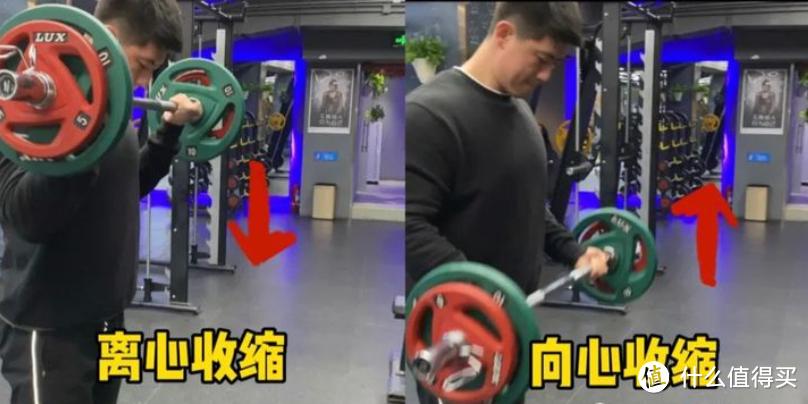 健腹轮离心收缩训练_腹肌轮几个轮的好_健腹轮优势