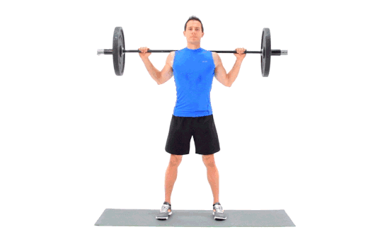 复合动作健身教程_健身房做什么运动练马甲线_新手健身房器械训练