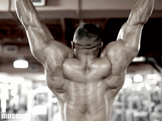 健身房做什么运动练马甲线_新手健身房器械训练_复合动作健身教程