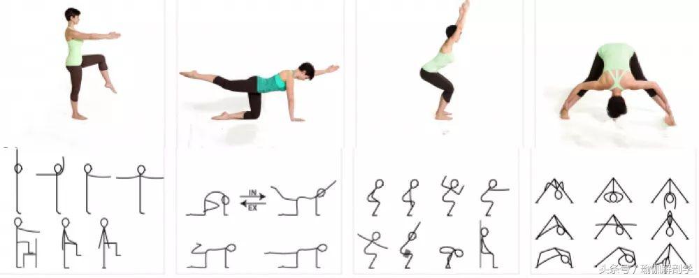 安全瑜伽体式_瑜伽猫牛单腿伸展变体_瑜伽初学者基础体式