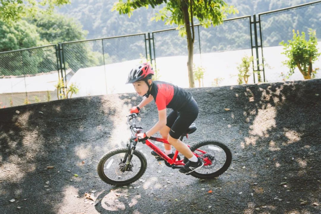 迪卡侬健身自行车_迪卡侬儿童自行车安全标准_迪卡侬BTWIN20寸ST900山地车