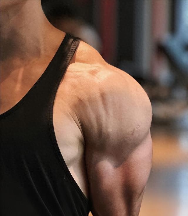 如何保持肌肉不流失_练肌肉一般在什么时候合适_肌肉生长原理