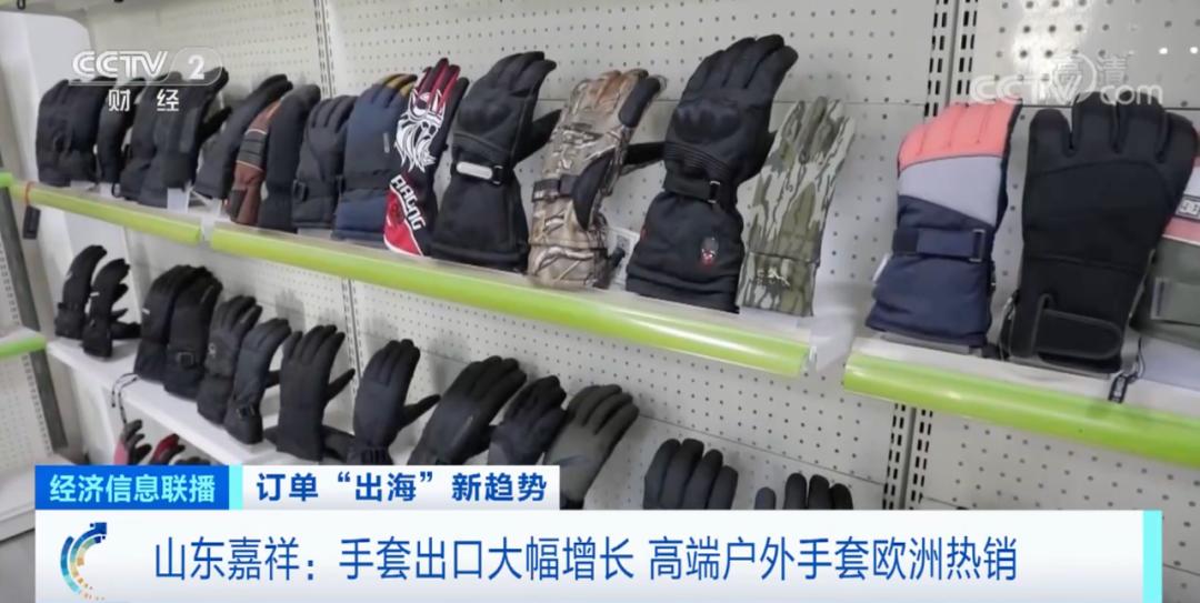 pg电子赏金试玩app 又一爆款！国产手套，在欧洲卖爆了！这一县，出口额超5亿元