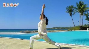 pg电子赏金试玩app yoga的最佳时间是什么呢？