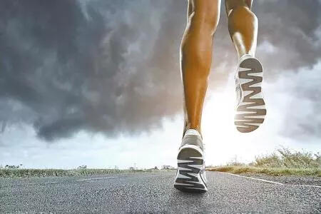 综合体能训练_六大动作模式_360度综合训练器