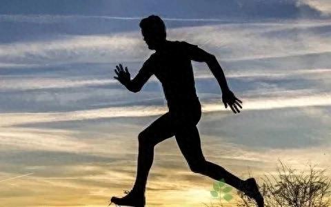 跑步机初学者指南_跑步机什么牌子好 百度知道_规律跑步机训练