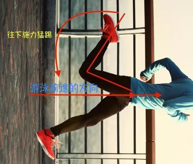 pg电子麻将胡了 自由泳打腿，髋部怎么带动？