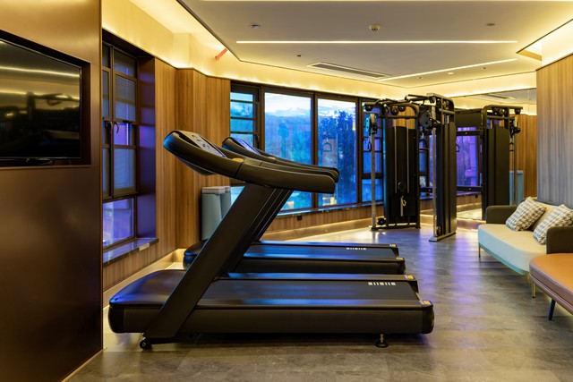 紧凑型有氧器材_康强综合训练器_酒店顶层小型健身房