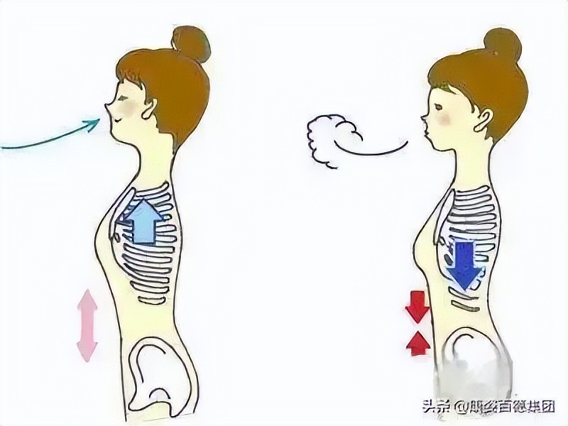 康姿百德第三套完整_康姿百德柔压磁性枕_改善睡眠质量