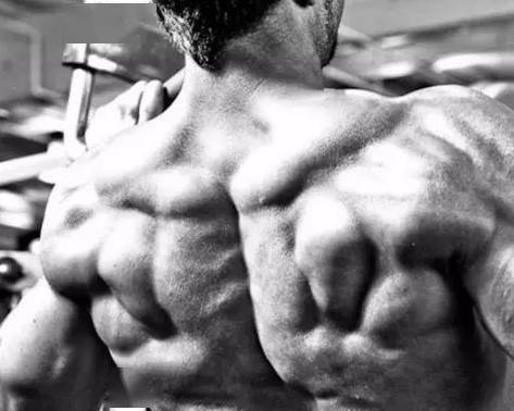 有人说健身不要顶峰收缩_顶峰收缩_肱二头肌弯举