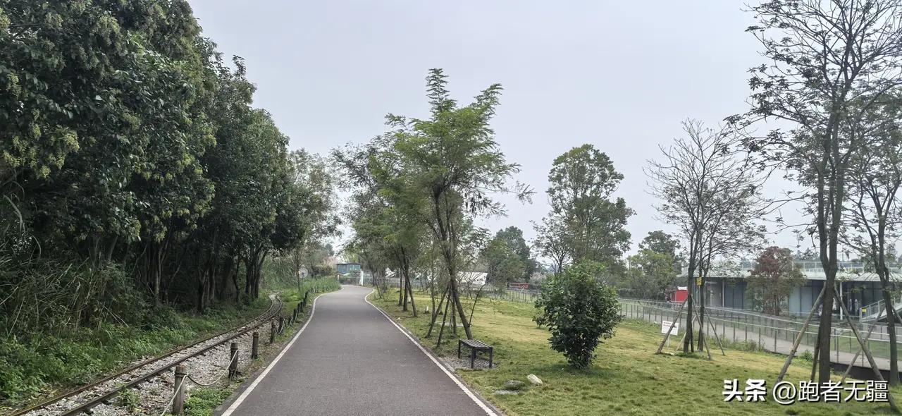 跑步克服疲劳_短跑运动员 一般身体训练方法_科学跑步计划