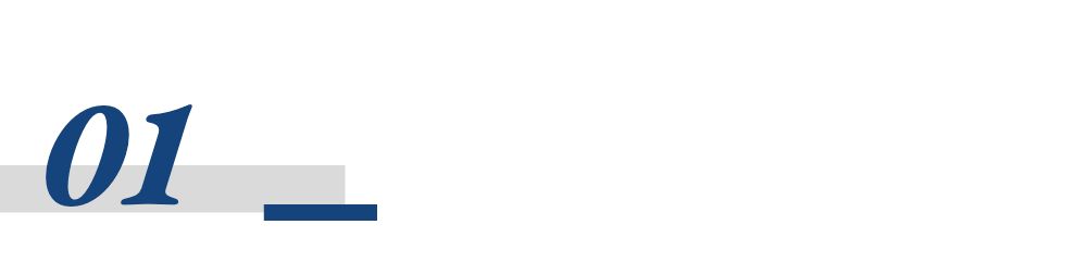 卫生巾新品牌朵薇黄子韬 创业热门赛道卫生巾 女性护理市场卫生巾_东方康林卫生巾