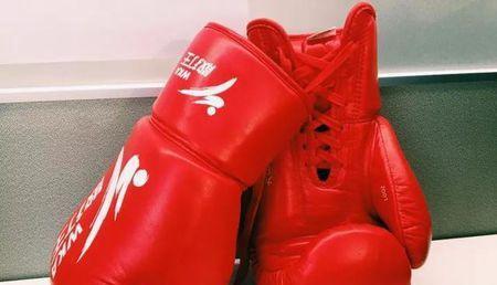 拳击手套重量分类_健身手套什么款式_拳击手套尺码选择