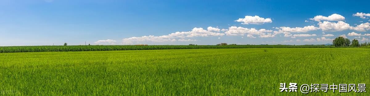 佳木斯旅游攻略_佳木斯景点门票_佳木斯市区图