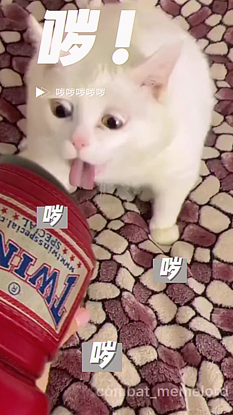 问鼎赏金女王pg官网入口下载手机版安 酥，为啥拳馆里的拳套臭得跟咸鱼一样？