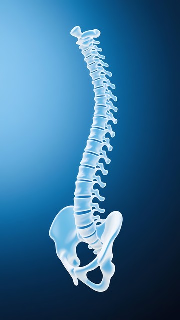 腰椎间盘突出不能弯腰_腰间盘突出 久坐不动 错误姿势