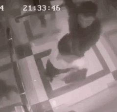 运动穿搭技巧_运动内衣选择指南_跑步机什么牌子好的微博