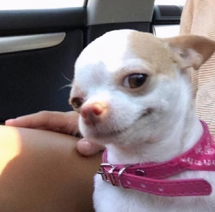 运动内衣选择指南_跑步机什么牌子好的微博_运动穿搭技巧