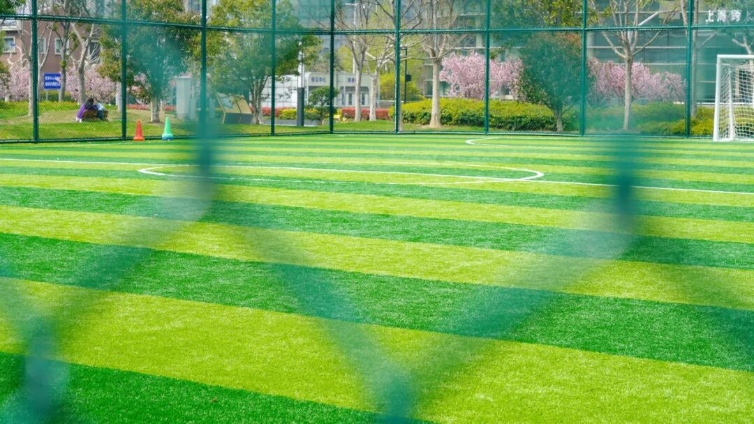 综合训练器健身器_智能健身器材 苏河公园 健身新姿势