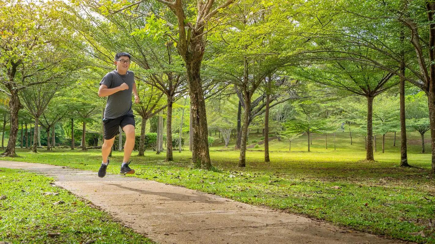 跑步机与户外跑区别_跑步机的速度多少合适_户外跑步机训练效果