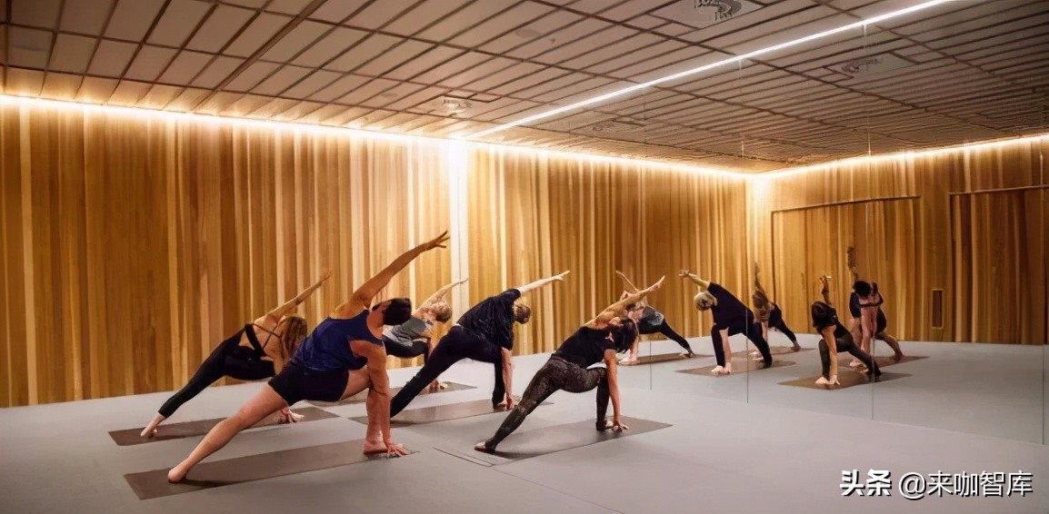 女性健身内容创作趋势_女性健身市场发展现状_健身操盘视频高清郑多燕