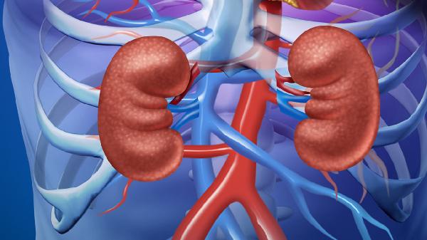 小腿肌肉总是紧张状态_小腿肌肉紧张发胀灌铅感运动后_小腿肌肉紧绷走路难受原因