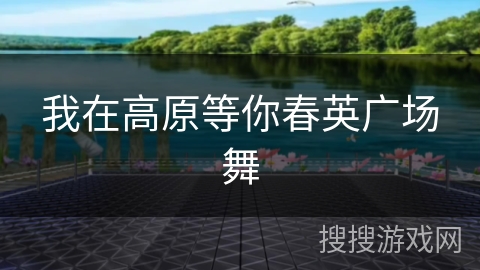 我在高原等你春英广场舞