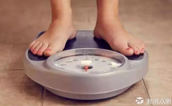 吃胖了你就别跑了，想跑也跑不动了？_新浪众测