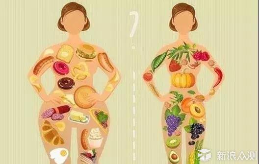 吃胖了你就别跑了，想跑也跑不动了？_新浪众测