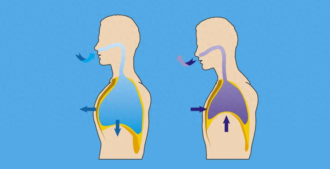 改善睡眠呼吸法_腹式呼吸好处_腹式呼吸法对提高注意力的好处