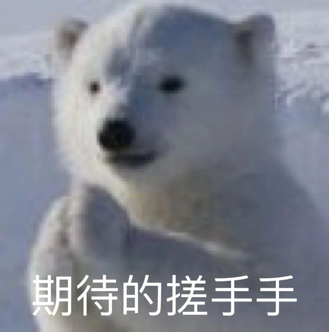 国产跑步机品牌推荐_什么牌子的跑步机好?_麦瑞克小白犀2代评测